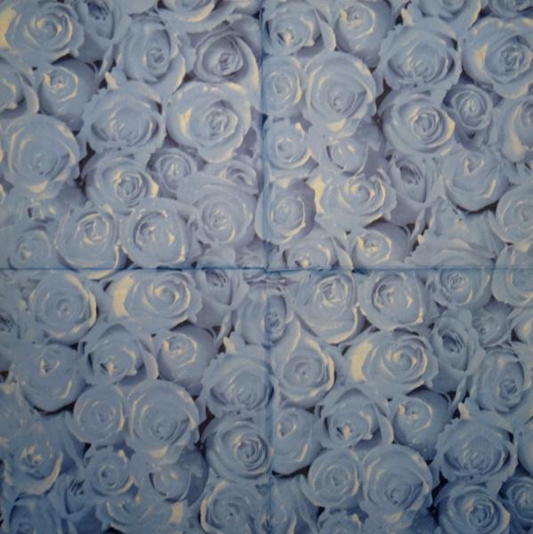 098 SOPO - 15 Stück